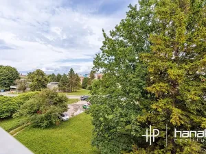 Prodej bytu 2+1, Olomouc, Albertova, 55 m2