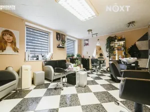 Prodej rodinného domu, Slavkov u Brna, Jiráskova, 286 m2