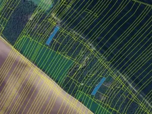 Prodej podílu lesa, Morašice, 698 m2