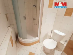 Pronájem bytu 2+kk, Ústí nad Labem, Čechova, 48 m2