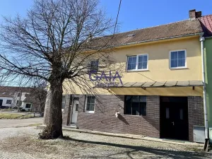 Prodej rodinného domu, Hýsly, 300 m2