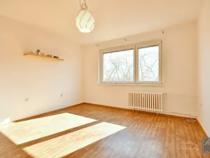 Pronájem bytu 2+kk, Ústí nad Labem, Brandtova, 43 m2
