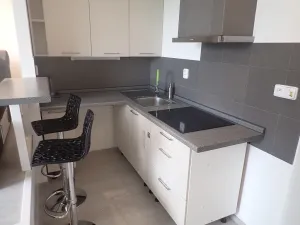 Pronájem bytu 1+kk, Liberec, Rychtářská, 19 m2