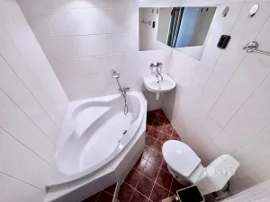 Pronájem bytu 2+1, Děčín, Severní, 50 m2