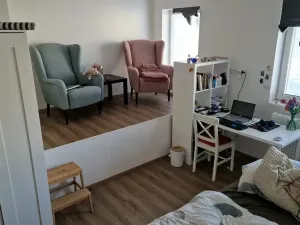 Prodej bytu 1+kk, Olomouc, Erenburgova, 40 m2