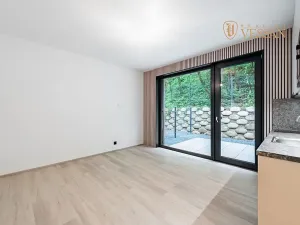 Prodej bytu 1+kk, Praha - Hlubočepy, Na Zlíchově, 26 m2
