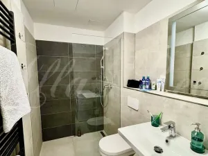 Pronájem bytu 1+kk, Brno - Brno-město, Kobližná, 50 m2