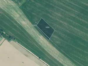 Prodej pole, Okrouhlá Radouň, 15352 m2