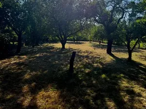 Pronájem zahrady, Olomouc, 1051 m2