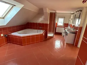 Pronájem rodinného domu, Písek, Pražská, 200 m2