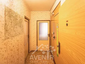 Prodej bytu 1+1, Desná, Krátká, 32 m2