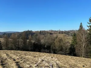 Prodej louky, Bozkov, 14441 m2