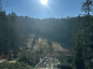 Prodej louky, Bozkov, 14441 m2