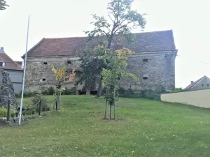 Prodej - jiné, Předslav, 1000 m2