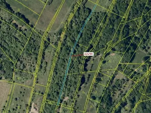 Dražba louky, Jankovice, 655 m2