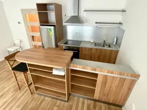 Pronájem bytu 1+kk, Brno, Přadlácká, 31 m2