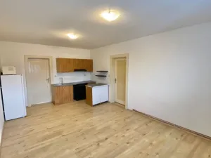 Pronájem bytu 2+kk, Děčín - Děčín VI-Letná, Polská, 48 m2