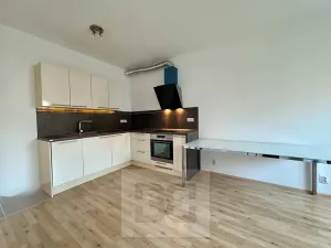 Pronájem bytu 1+kk, Brno, Kigginsova, 42 m2