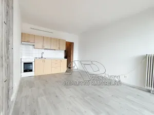 Pronájem bytu 1+kk, České Budějovice, Fr. Ondříčka, 23 m2
