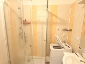 Prodej bytu 3+1, Opava - Předměstí, Olomoucká, 60 m2