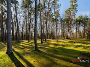 Pronájem bytu 3+1, Třebechovice pod Orebem, 75 m2
