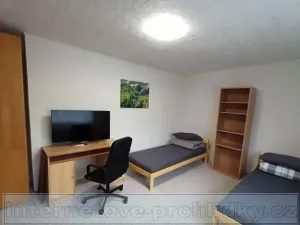 Pronájem pokoje, Praha - Dejvice, Pod Mlýnkem, 23 m2