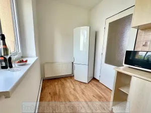 Pronájem bytu 1+1, Praha - Žižkov, Křivá, 72 m2