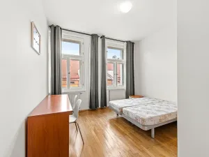 Prodej bytu 2+1, Praha - Žižkov, Bořivojova, 77 m2