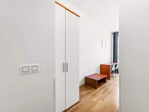 Prodej bytu 2+1, Praha - Žižkov, Bořivojova, 77 m2