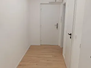 Prodej bytu 2+1, Brno, Souběžná, 56 m2