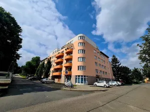 Pronájem bytu 1+kk, Brno, Živného, 34 m2