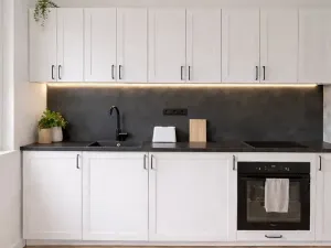 Pronájem bytu 1+kk, Praha - Vinohrady, Velehradská, 25 m2