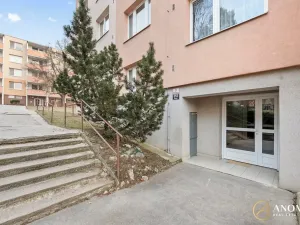 Pronájem bytu 1+1, Brno, Vavřinecká, 35 m2