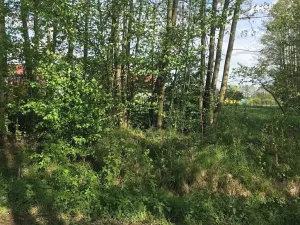 Prodej pozemku pro bydlení, Dobříkov, 1247 m2