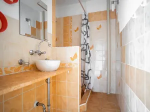 Prodej bytu 1+1, Plzeň - Jižní Předměstí, Čermákova, 39 m2