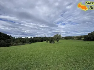 Prodej chaty, Hlučín, 50 m2