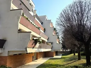 Dražba bytu 3+kk, Brno, Žižkova, 90 m2