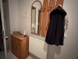 Pronájem bytu 2+1, Brno, Štefánikova, 75 m2