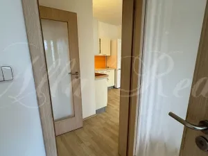 Pronájem bytu 2+kk, Brno - Černá Pole, Kotěrova, 53 m2