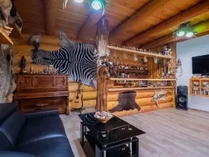 Prodej rodinného domu, Dolní Lomná, 1559 m2