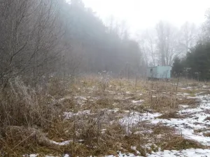 Dražba louky, Horní Planá, 3804 m2