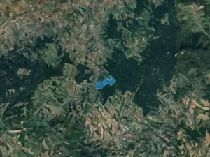 Prodej lesa, Javorník, 2087076 m2