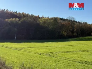 Prodej lesa, Velká Polom, 1901 m2