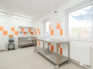 Pronájem výrobních prostor, Zlonín, Hlavní, 50 m2