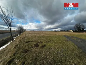 Prodej pozemku pro bydlení, Větřkovice, 4806 m2