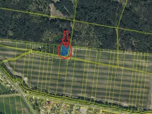 Prodej podílu lesa, Břehy, 1092 m2