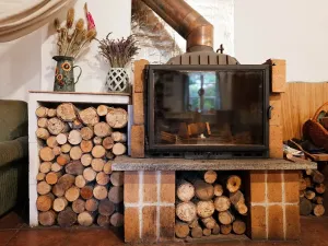 Prodej rodinného domu, Březina, 300 m2