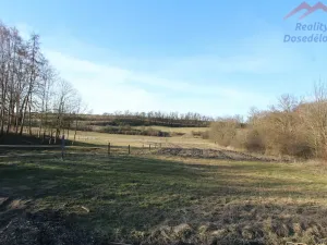 Prodej pozemku pro bydlení, Blevice, 1000 m2