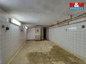 Prodej restaurace, Vodňany - Křtětice, 872 m2