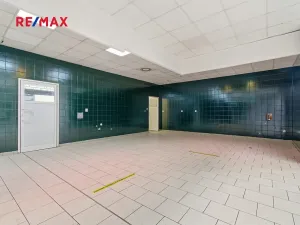 Pronájem obchodního prostoru, Plzeň, 181 m2